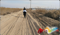 �Sɳ�����y�跨�����_��